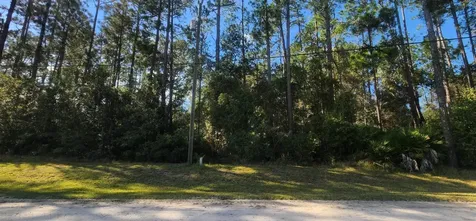 Tbd Bowfin Drive Palatka FL 32177