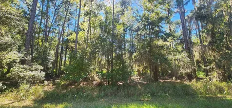 205 Terri Avenue Georgetown FL 32139