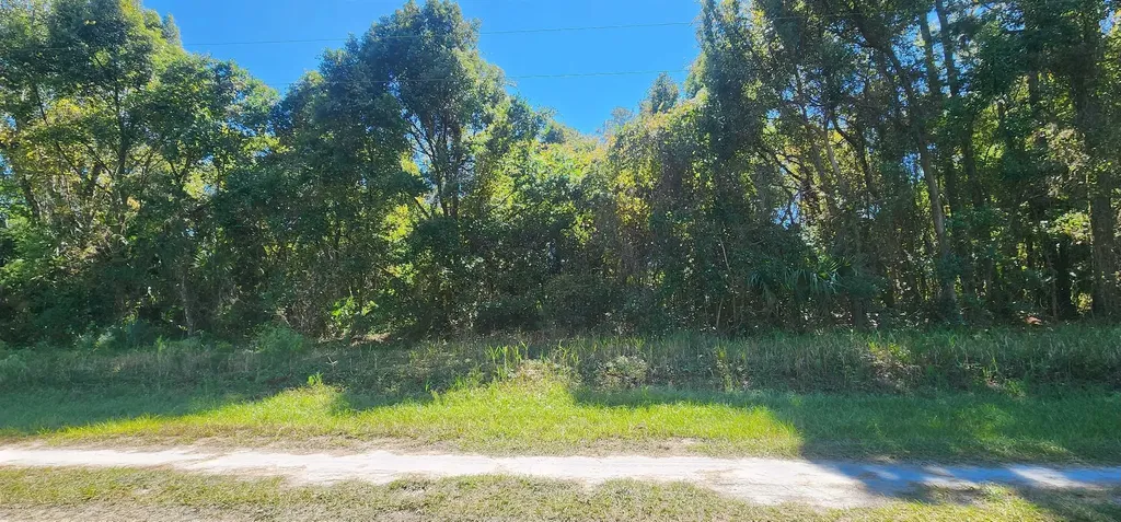431 Redwood Boulevard Georgetown FL 32139