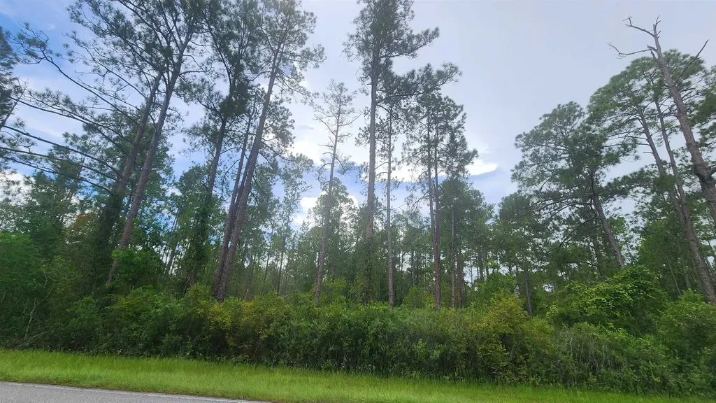 213 Georgetown Denver Road Georgetown FL 32139