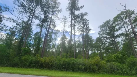 213 Georgetown Denver Road Georgetown FL 32139