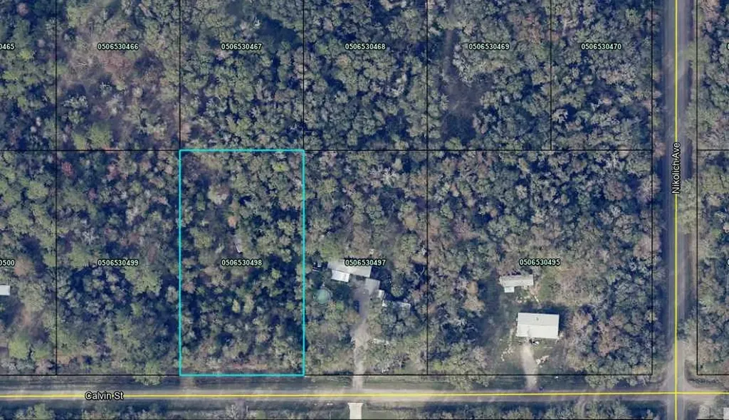4730 Calvin Street Hastings FL 32145