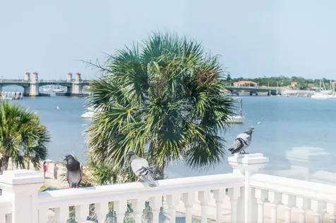 178 Avenida Menendez St Augustine FL 32084