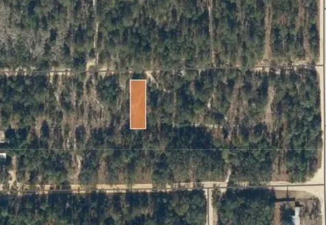 00 Unassigned Road Interlachen FL 32148