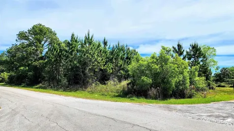 Tbd Palm Way And Gardenia Avenue Georgetown FL 32139