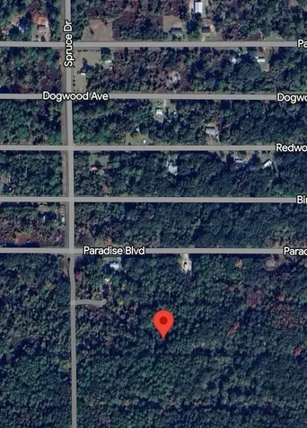 310 Laisy Drive Georgetown FL 32139