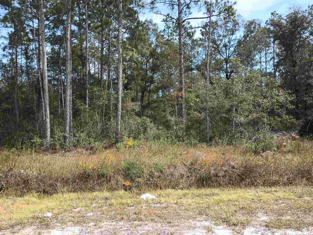 10440 Flikkema Avenue Hastings FL 32145-0000