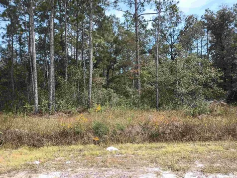 10440 Flikkema Avenue Hastings FL 32145-0000