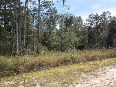 10440 Flikkema Avenue Hastings FL 32145-0000