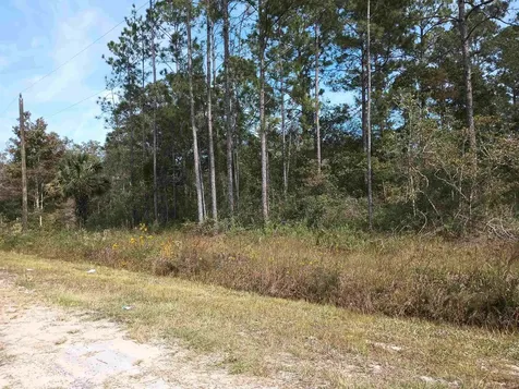 10440 Flikkema Avenue Hastings FL 32145-0000