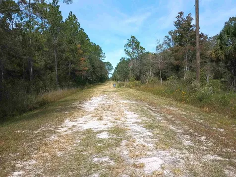 10440 Flikkema Avenue Hastings FL 32145-0000