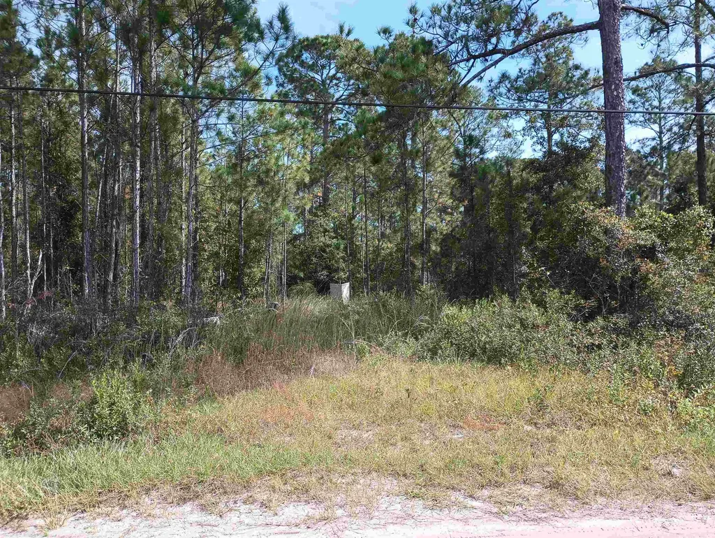 10520 Beckenger Avenue Hastings FL 32145-0000
