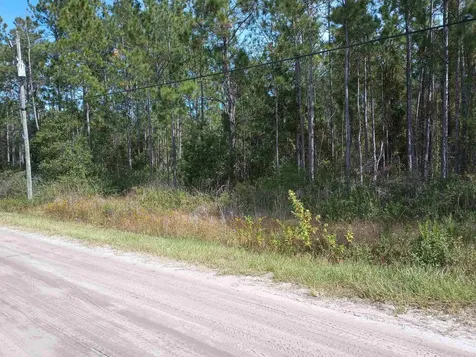 10520 Beckenger Avenue Hastings FL 32145-0000