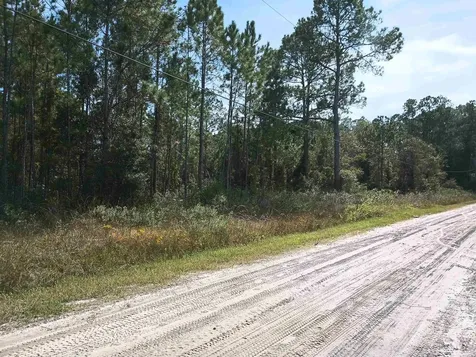 10520 Beckenger Avenue Hastings FL 32145-0000