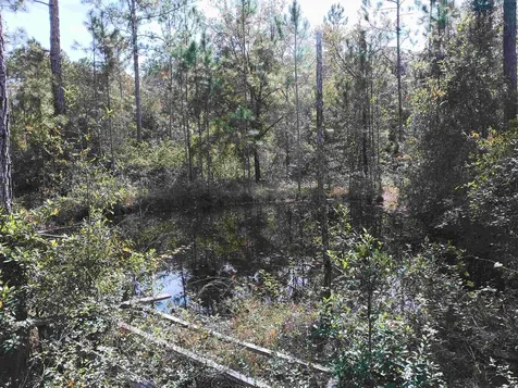 10520 Beckenger Avenue Hastings FL 32145-0000