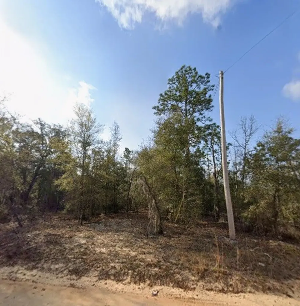 Tbd S 3rd Avenue Interlachen FL 32148