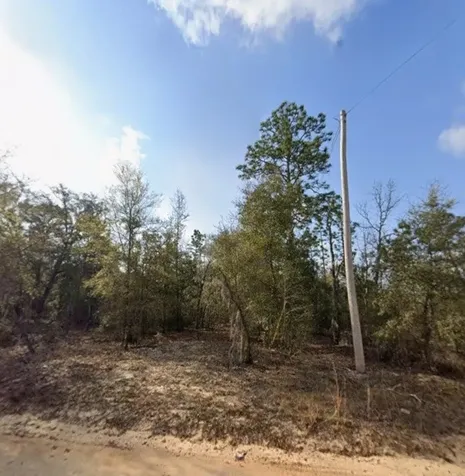 Tbd S 3rd Avenue Interlachen FL 32148