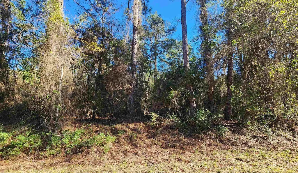 131 Georgetown Denver Road Georgetown FL 32139