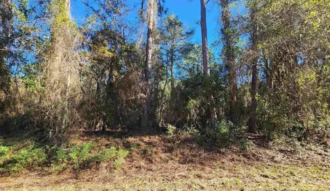 131 Georgetown Denver Road Georgetown FL 32139