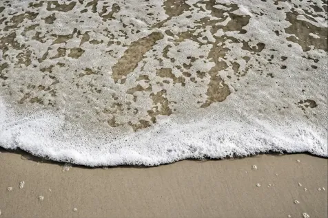 6 Manatee Court St Augustine FL 32080