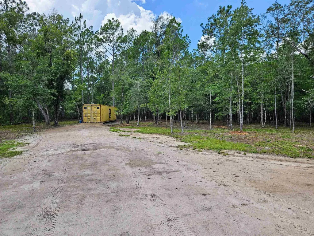 10345 Nikolich Avenue Hastings FL 32145