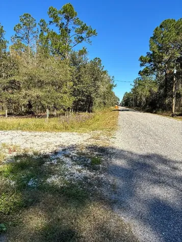 10345 Nikolich Avenue Hastings FL 32145