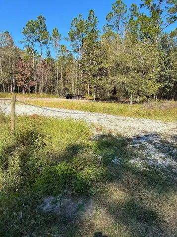 10345 Nikolich Avenue Hastings FL 32145