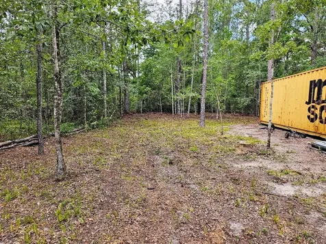 10345 Nikolich Avenue Hastings FL 32145