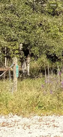 10345 Nikolich Avenue Hastings FL 32145