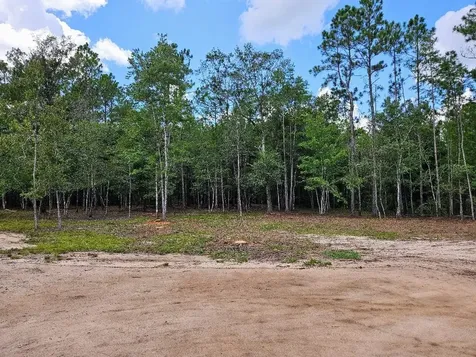 10345 Nikolich Avenue Hastings FL 32145
