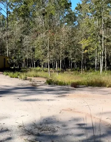 10345 Nikolich Avenue Hastings FL 32145