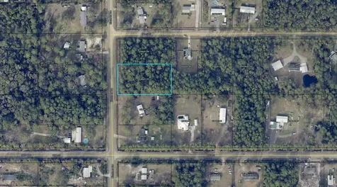 10040 Kirchherr Avenue Hastings FL 32145