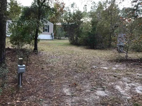 10575 Allison Avenue Hastings FL 32145