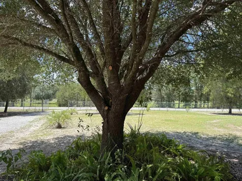 1134 Coral Farms Road Florahome FL 32140
