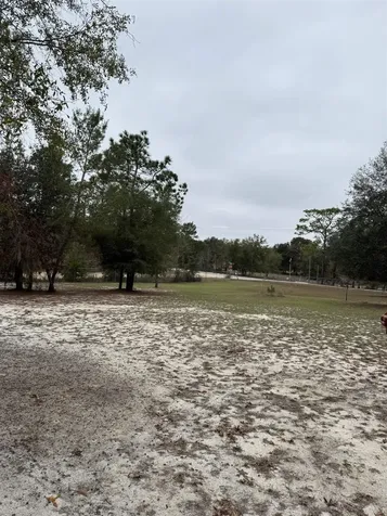 1134 Coral Farms Road Florahome FL 32140