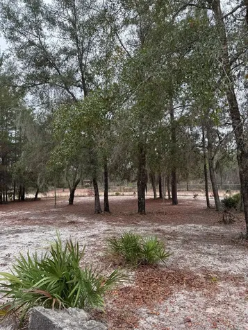 1134 Coral Farms Road Florahome FL 32140