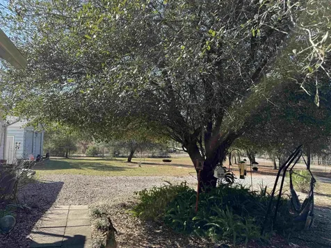 1134 Coral Farms Road Florahome FL 32140