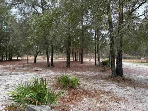 1134 Coral Farms Road Florahome FL 32140