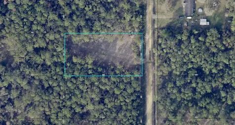 10695 Flikkema Avenue Hastings FL 32145