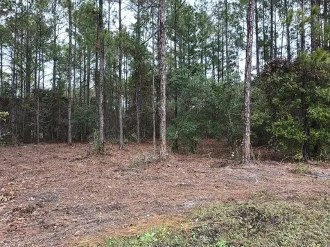 4010 Melanie Street Hastings FL 32145-0000