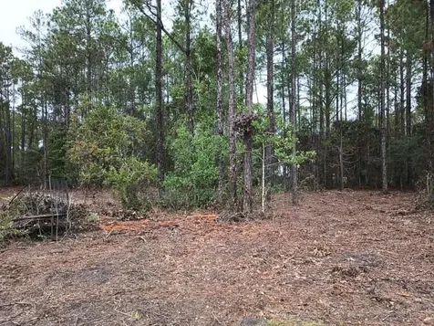 4010 Melanie Street Hastings FL 32145-0000