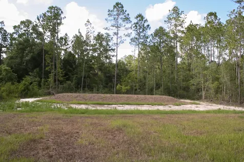 4350 Theresa Street Hastings FL 32145