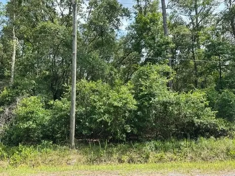 5015 Donald Street Hastings FL 32145