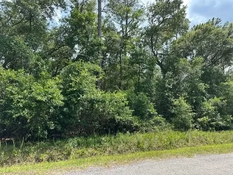 5015 Donald Street Hastings FL 32145