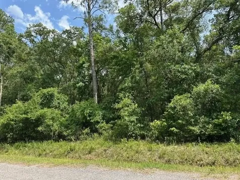 5015 Donald Street Hastings FL 32145