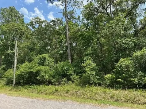 5015 Donald Street Hastings FL 32145