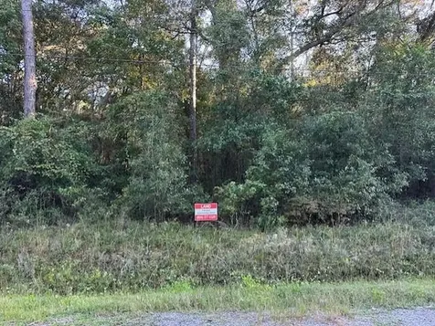 5015 Donald Street Hastings FL 32145