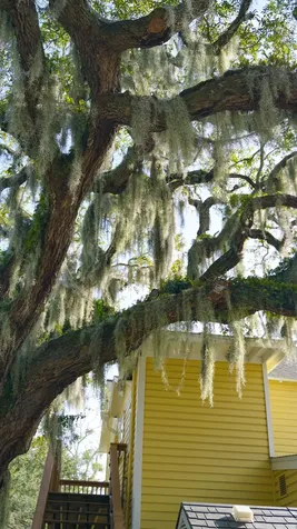 14 Sanchez Avenue St Augustine FL 32084