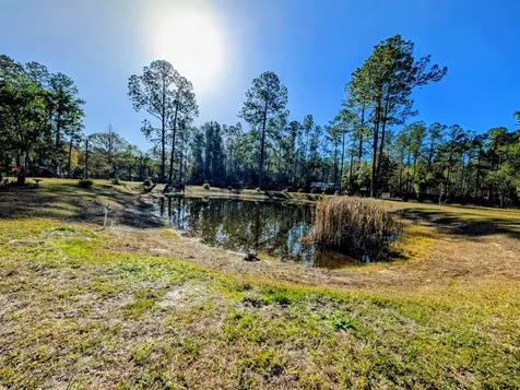 4350 Nancy Street Hastings FL 32145