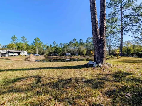 4350 Nancy Street Hastings FL 32145